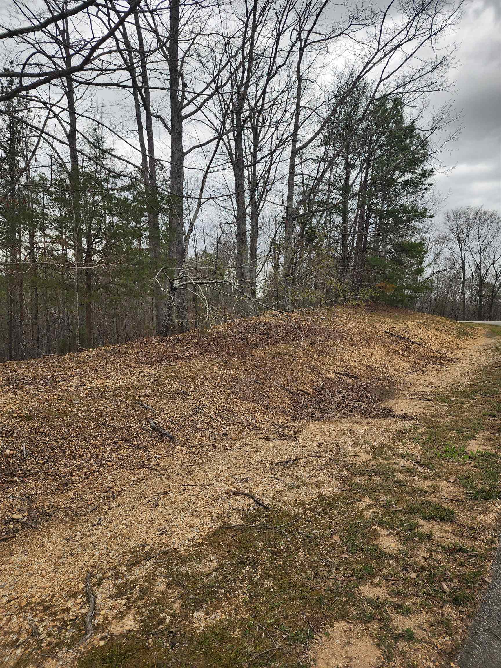 Lot #5 Eagle Point Dr Property Photo 8
