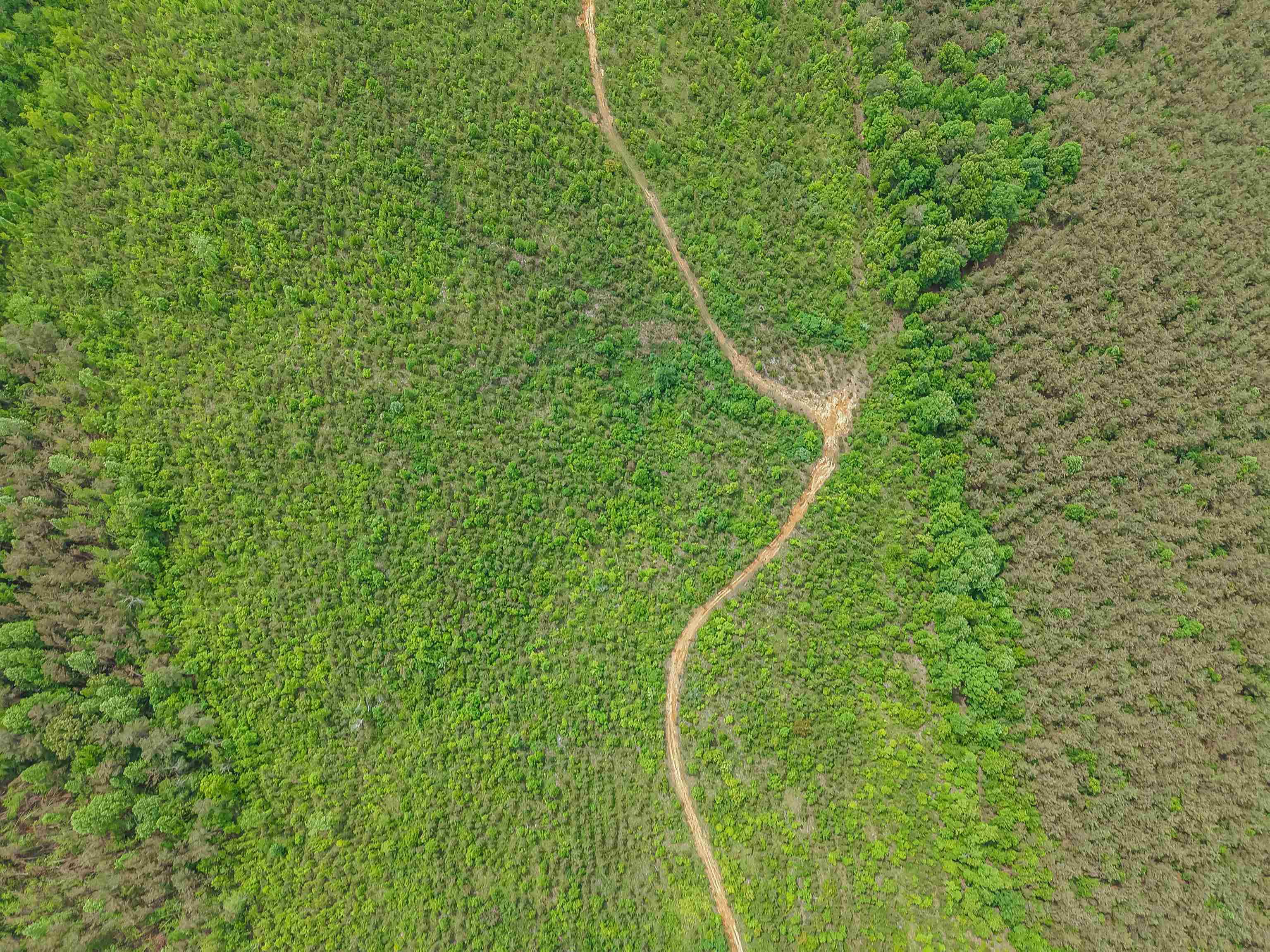 Race Path Rd Property Photo 9