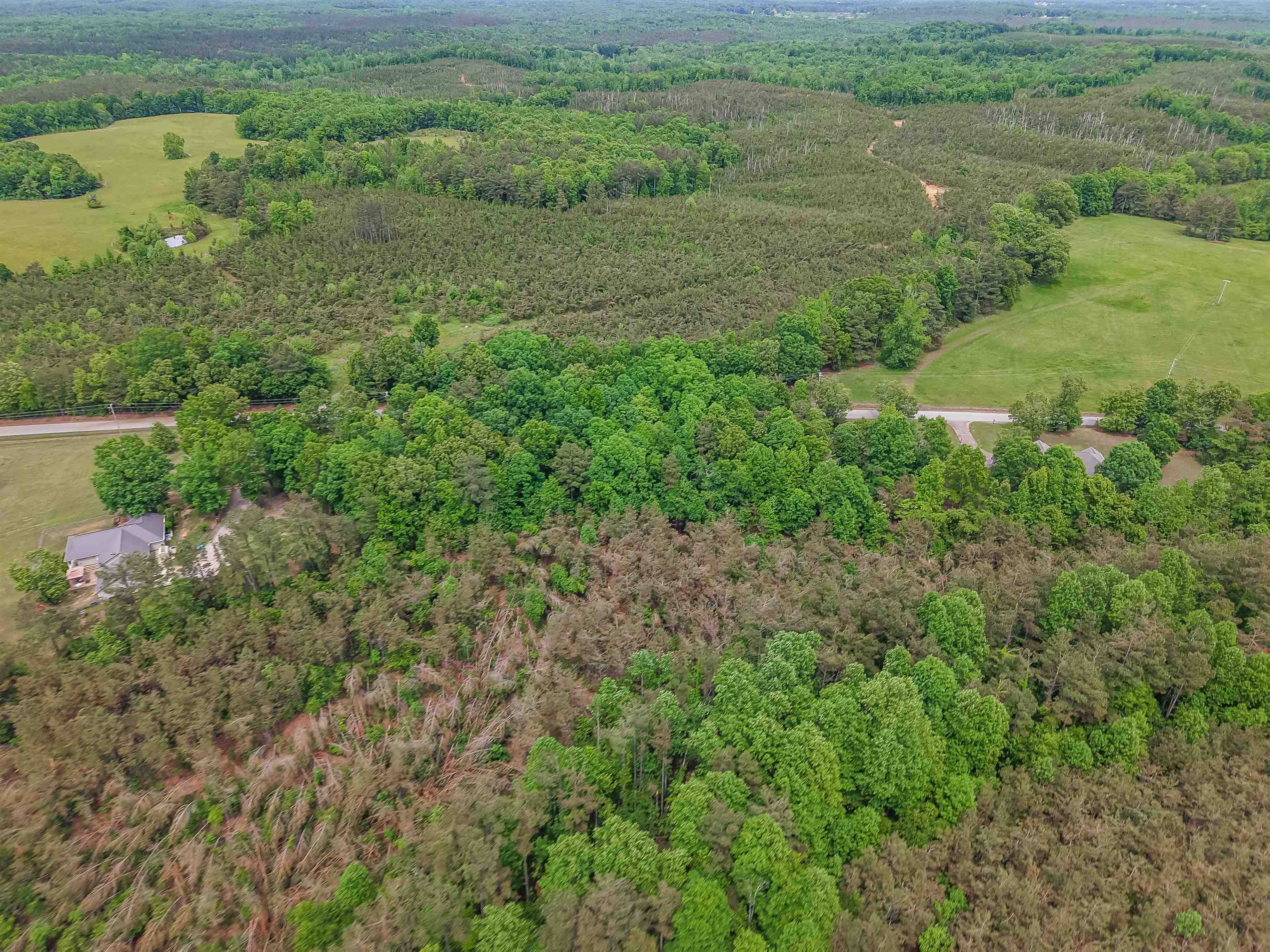 Race Path Rd Property Photo 14