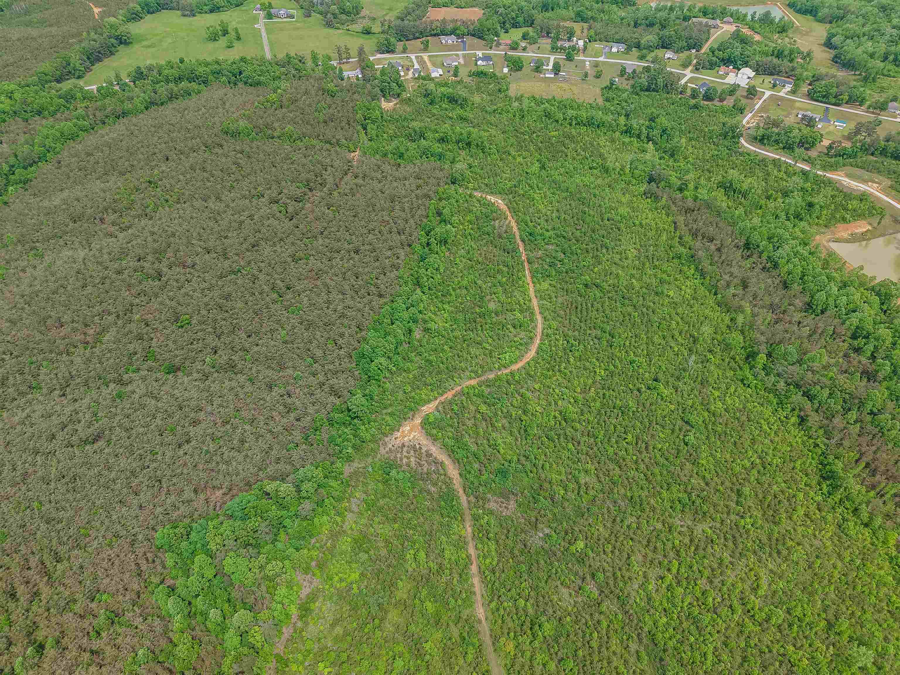 Race Path Rd Property Photo 19