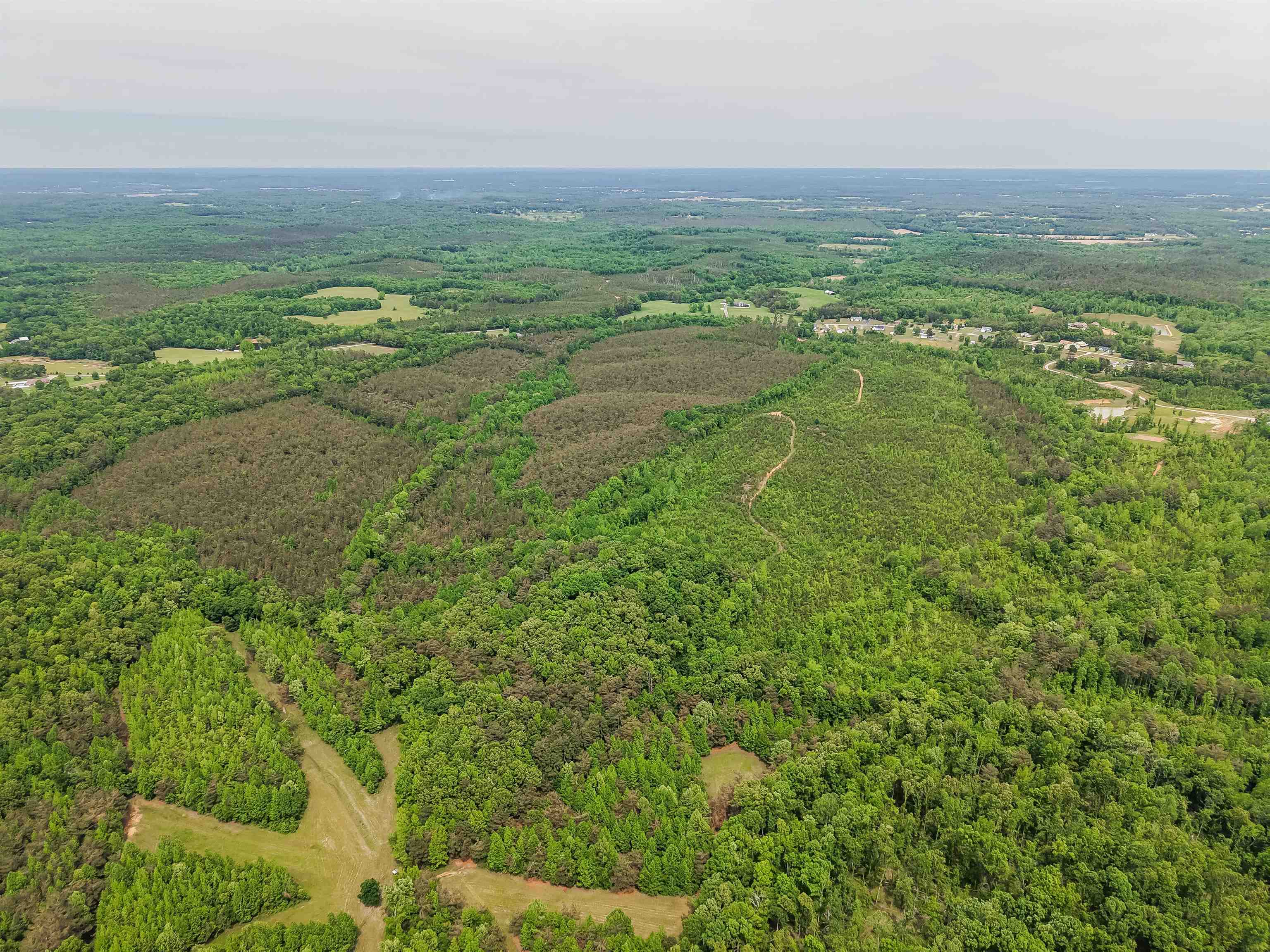 Race Path Rd Property Photo 21