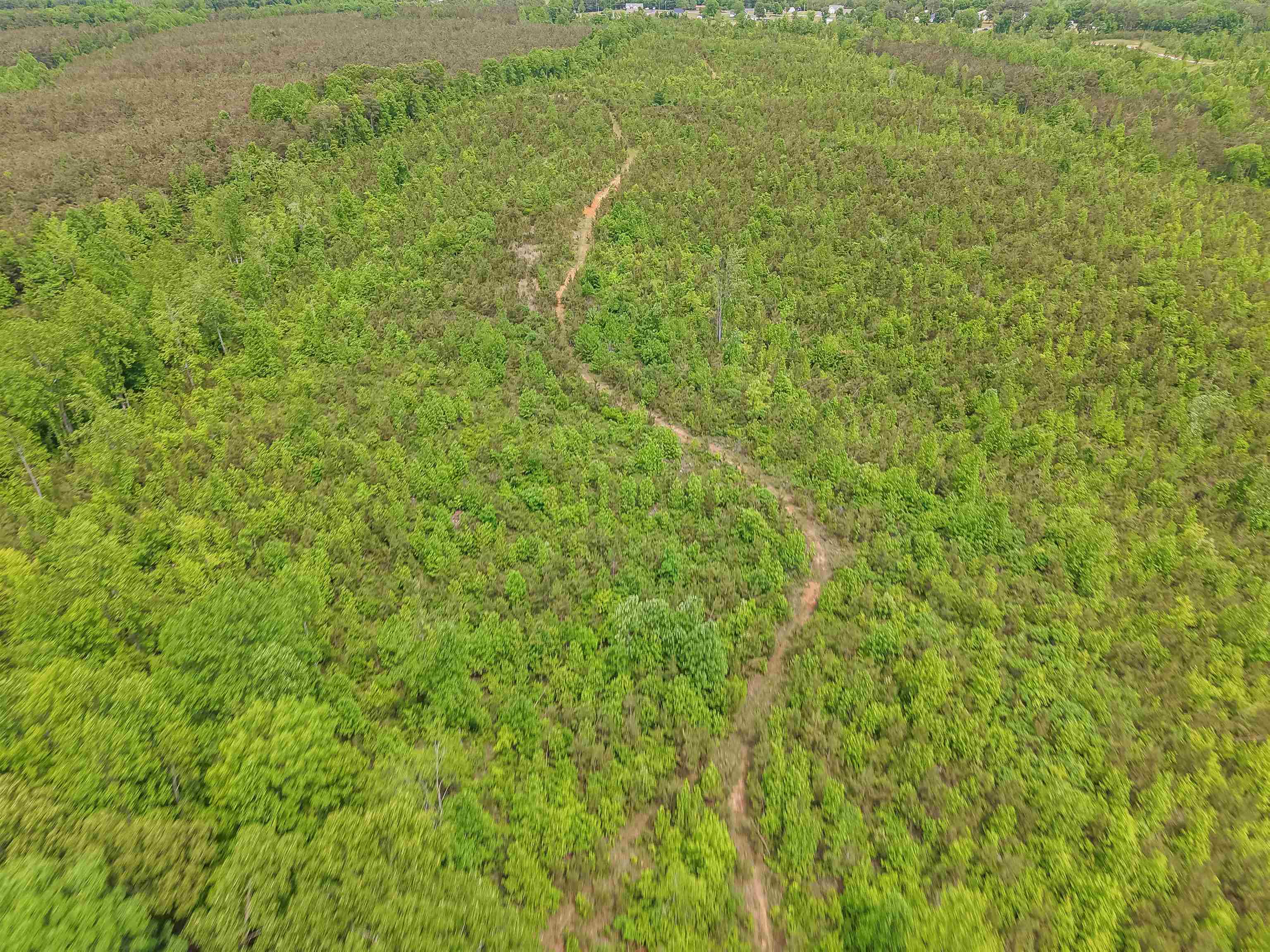 Race Path Rd Property Photo 22