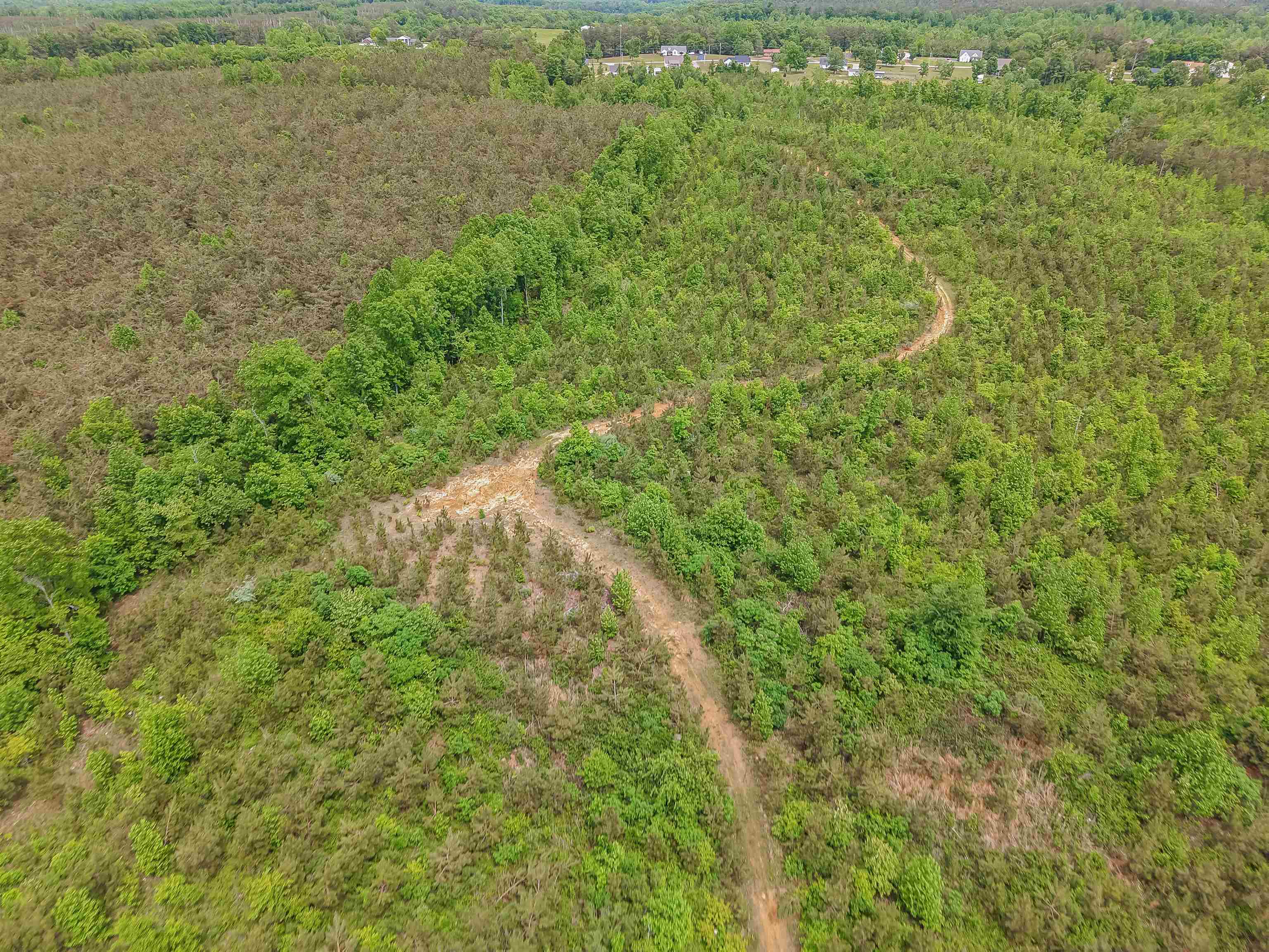 Race Path Rd Property Photo 23
