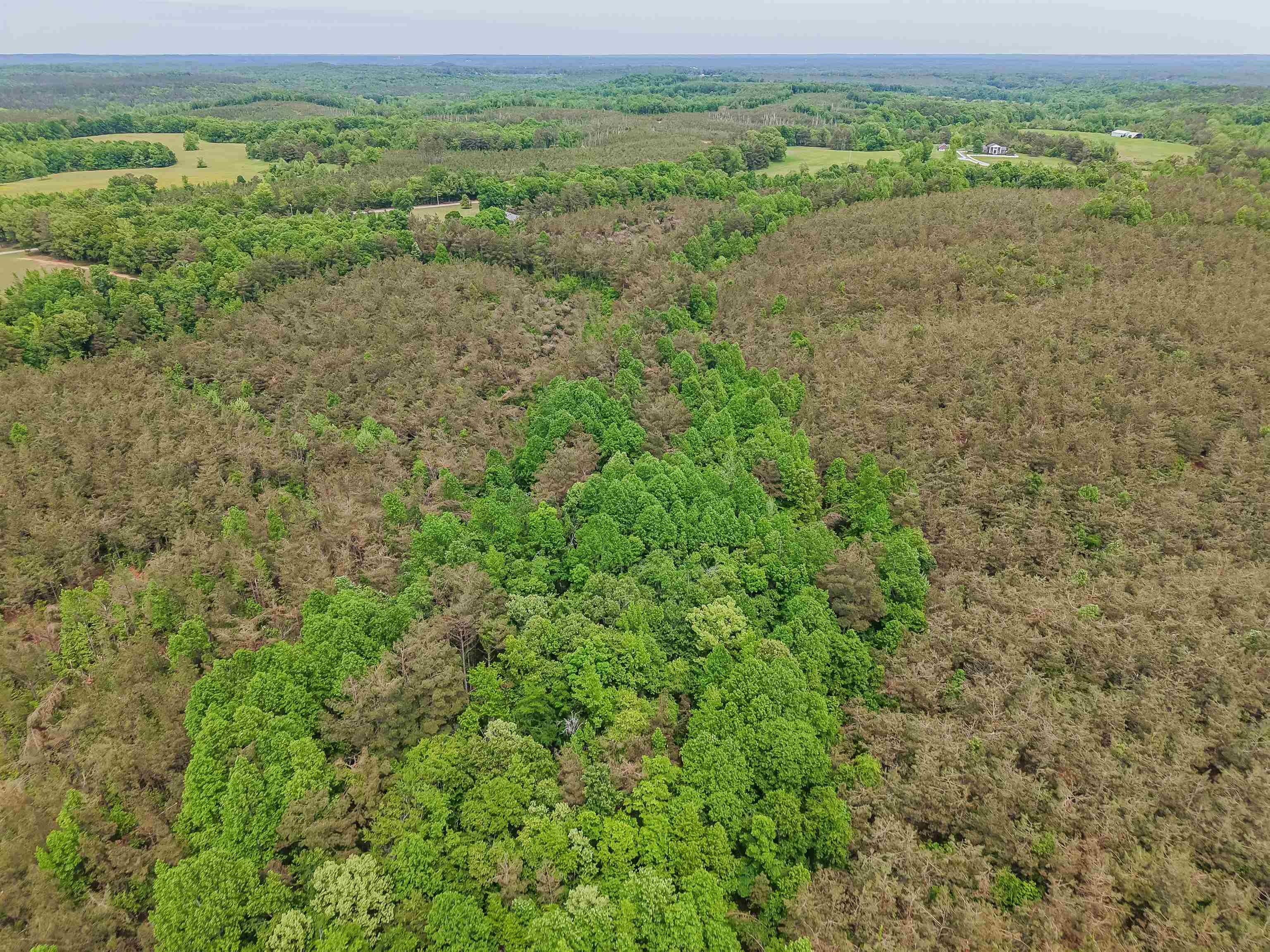 Race Path Rd Property Photo 25