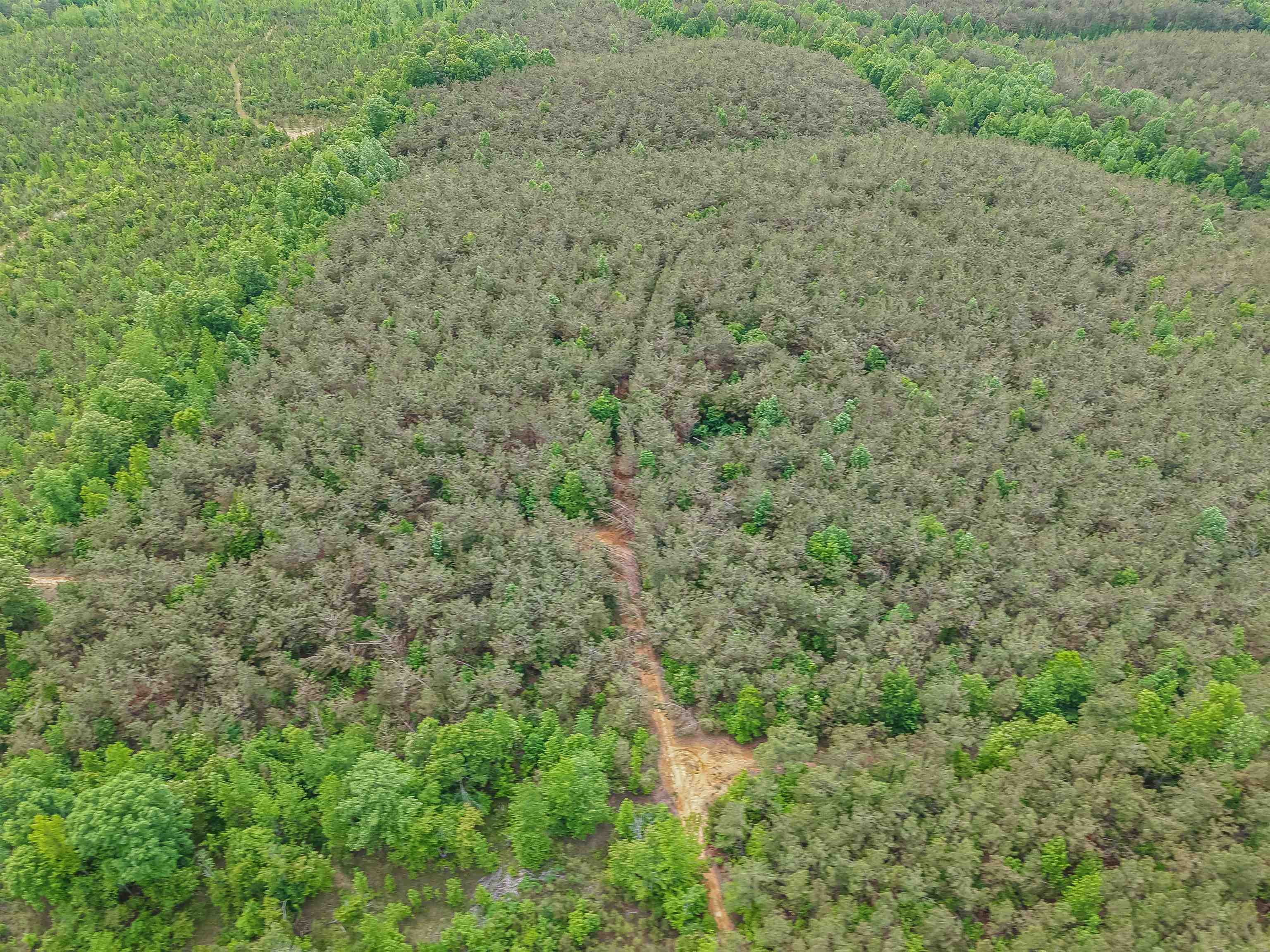 Race Path Rd Property Photo 28