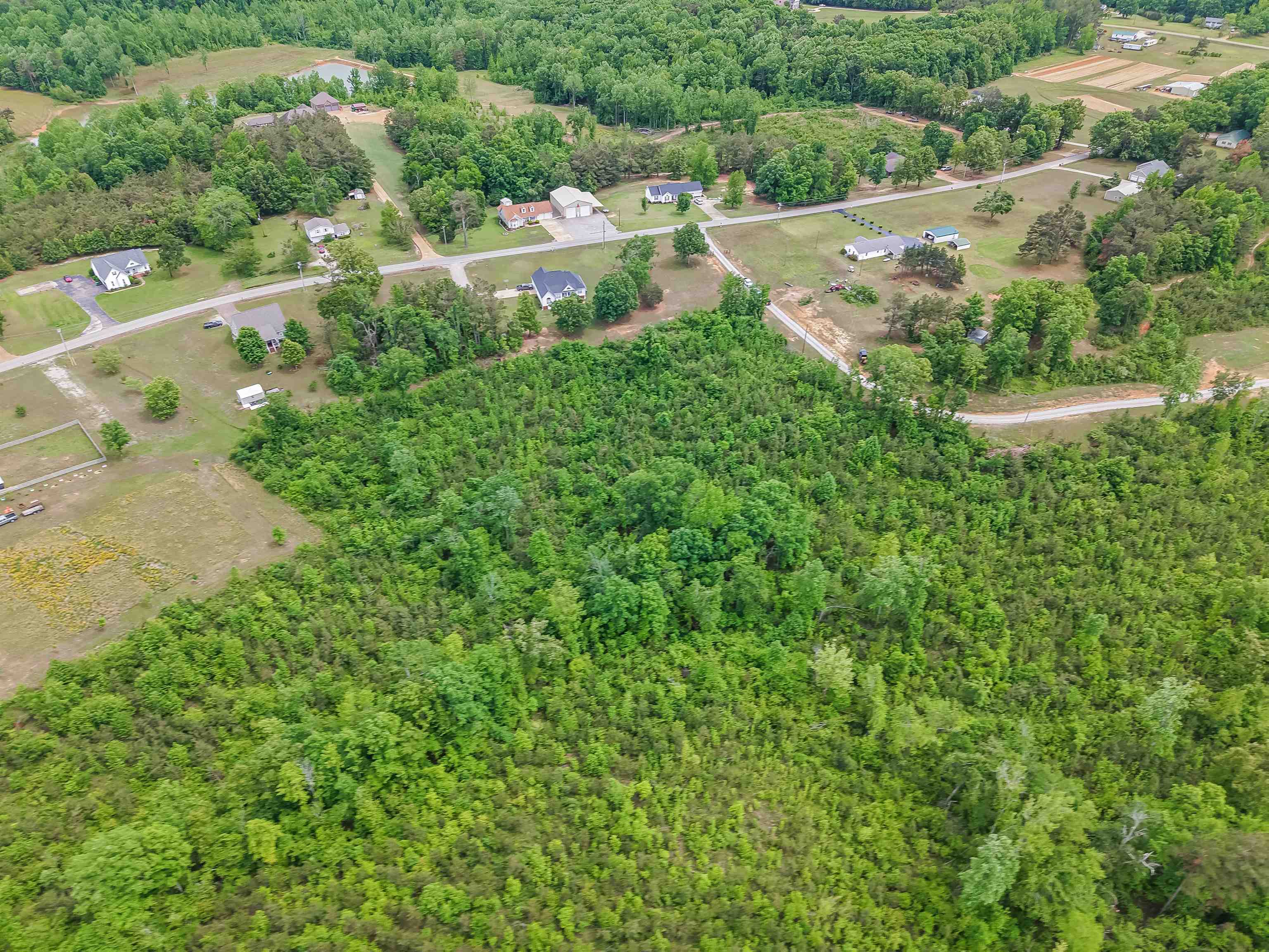 Race Path Rd Property Photo 29
