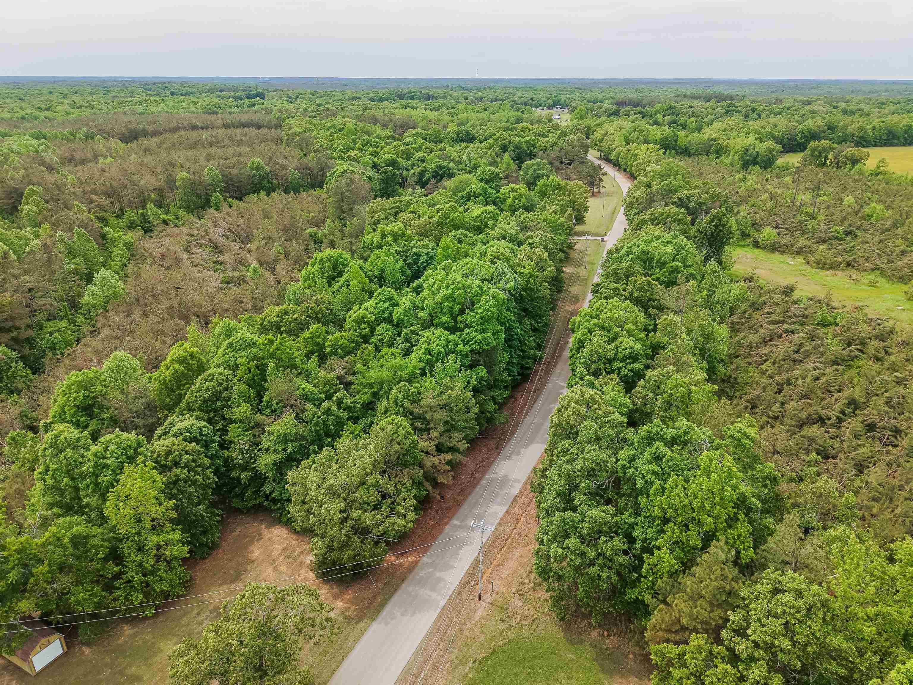 Race Path Rd Property Photo 34