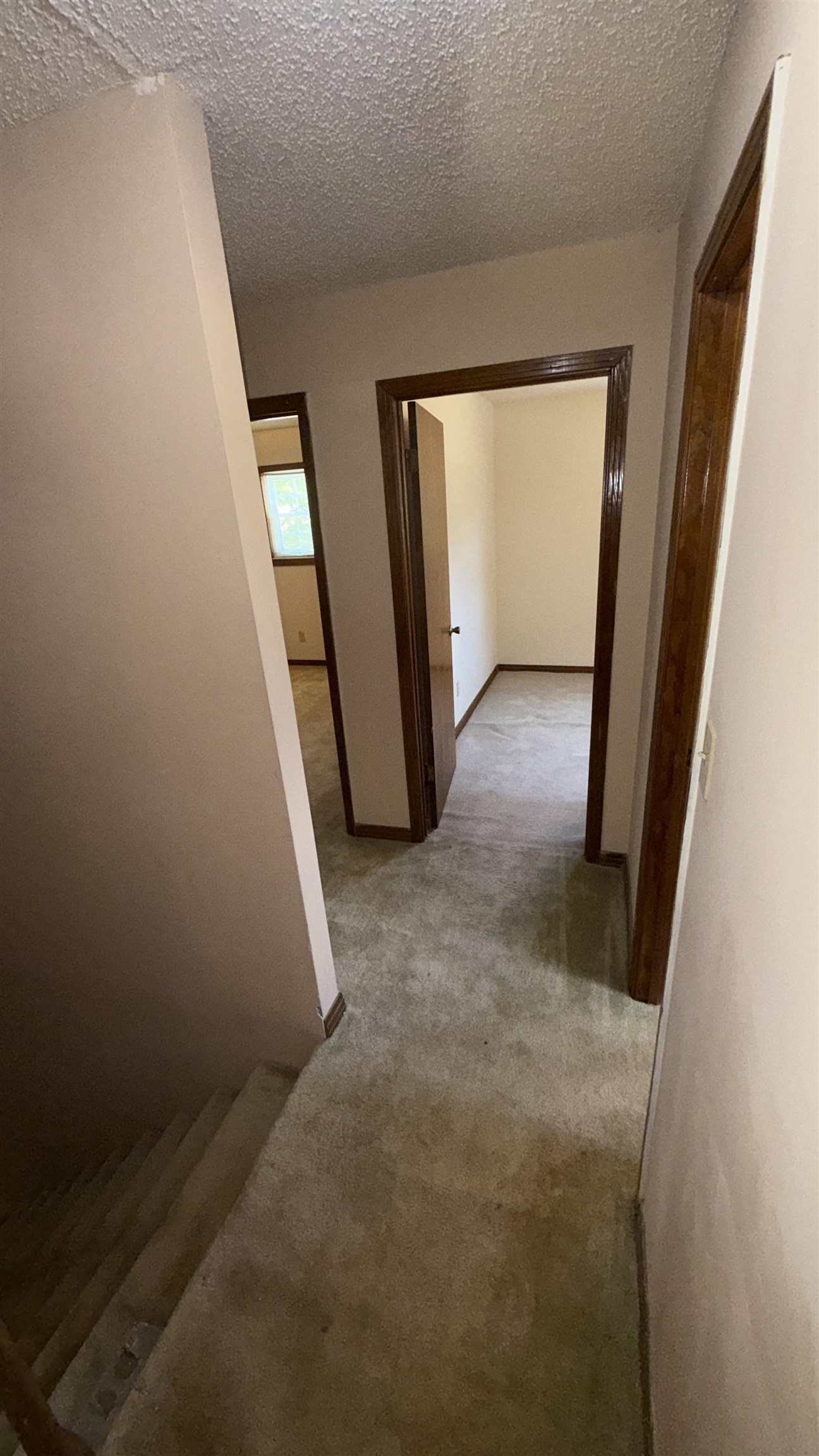 595 Swaney Dr Property Photo 16