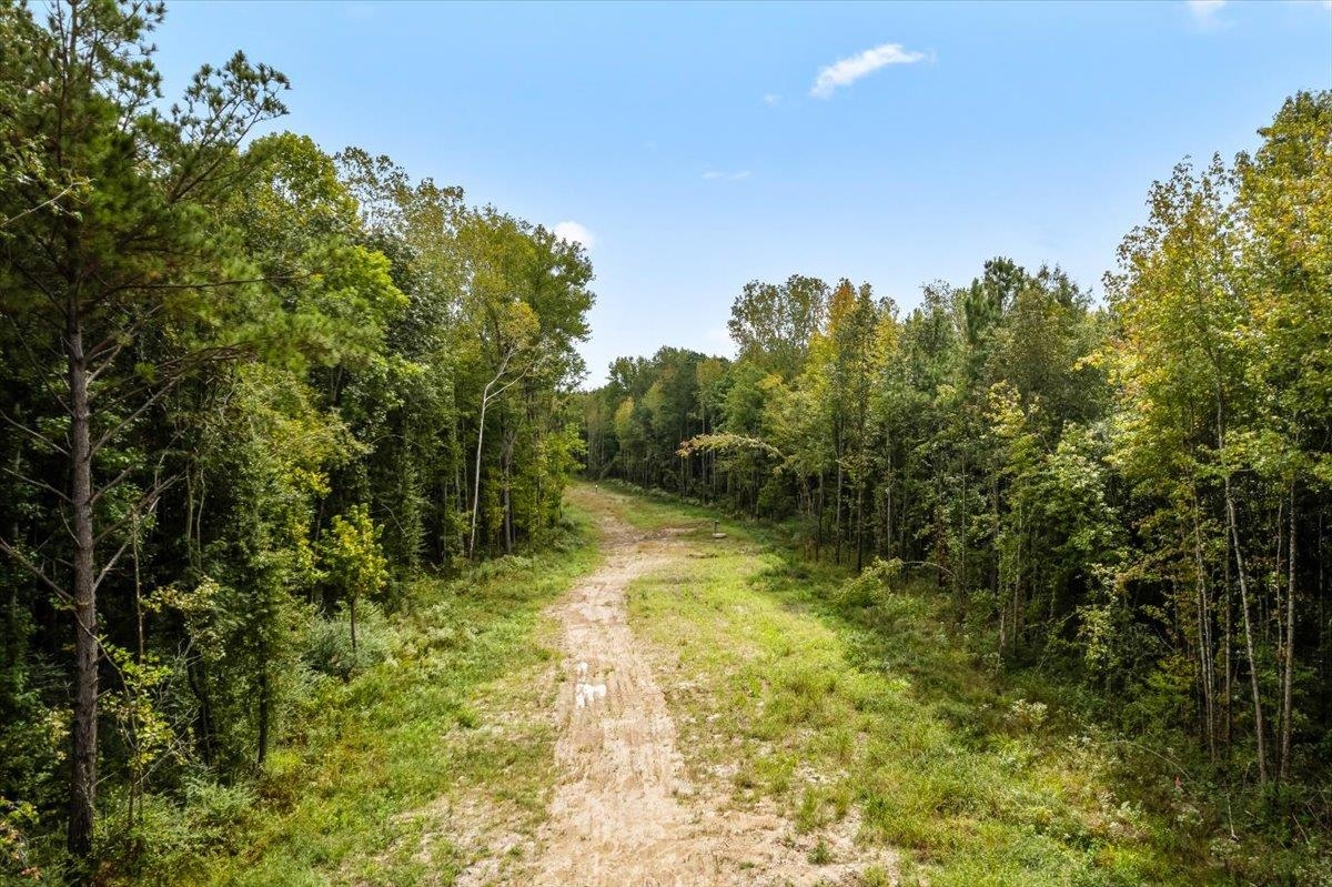 10583 Us 70 Hwy Property Photo 14