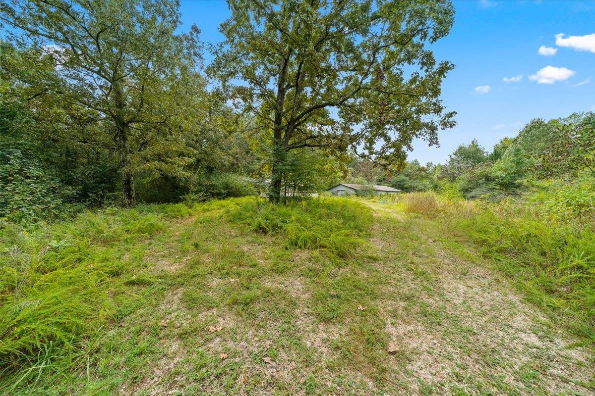 10583 Us 70 Hwy Property Photo 30