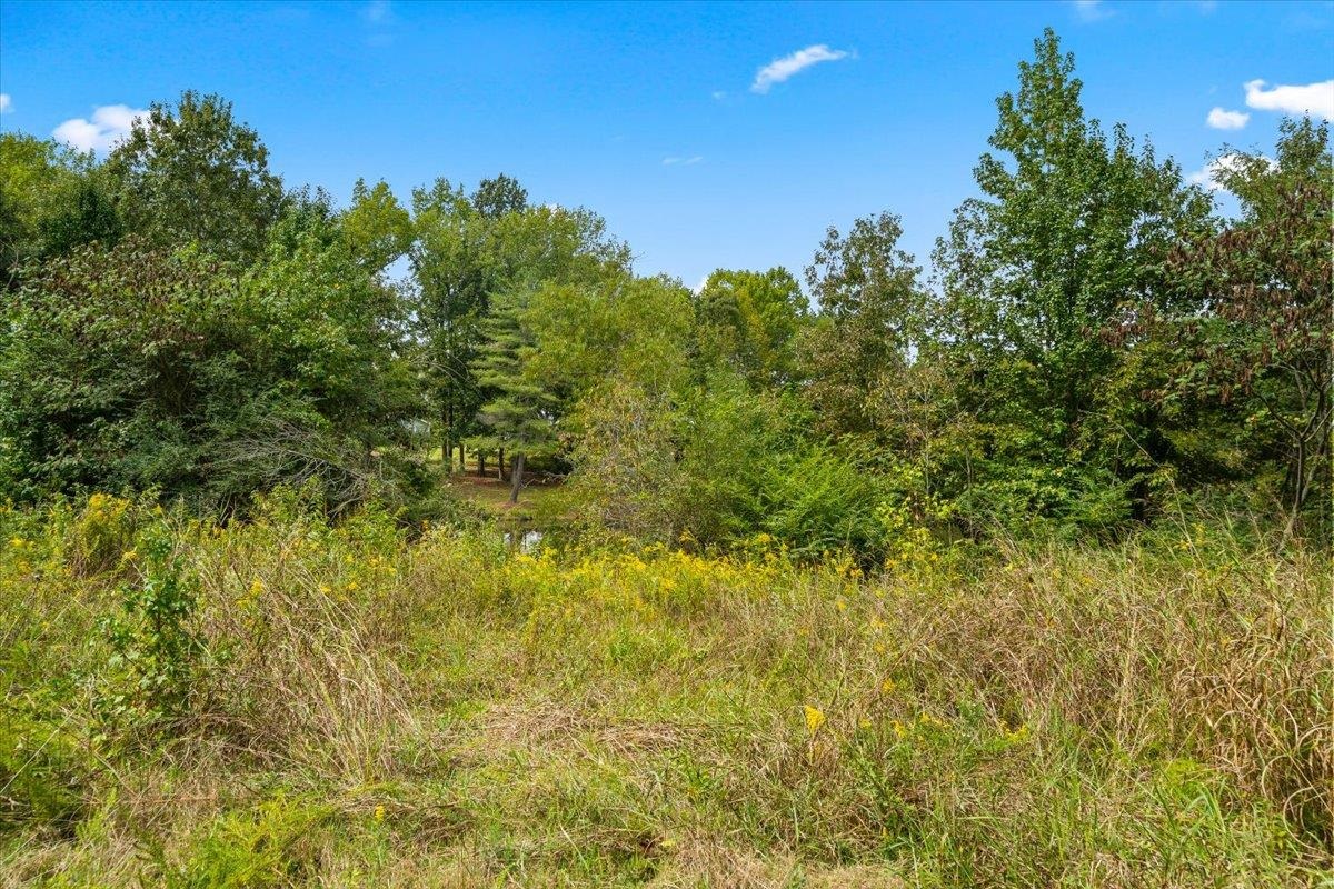 10583 Us 70 Hwy Property Photo 32