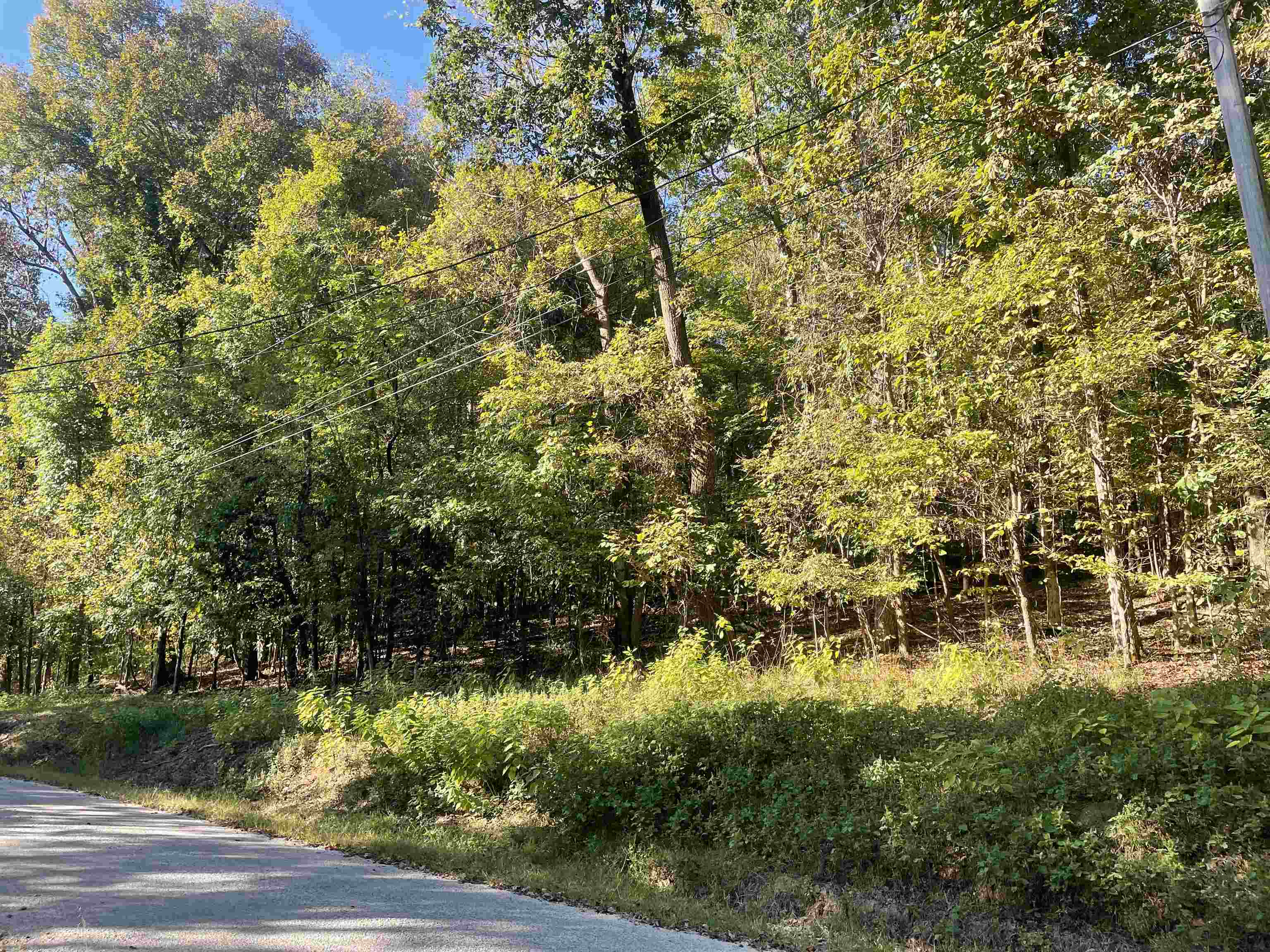 Lot 50 Crow Ln Property Photo 3