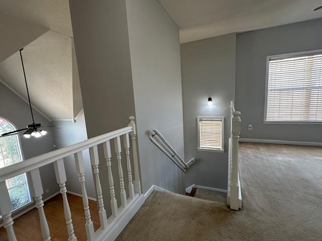 2190 Berry Bush Ln Property Photo 21