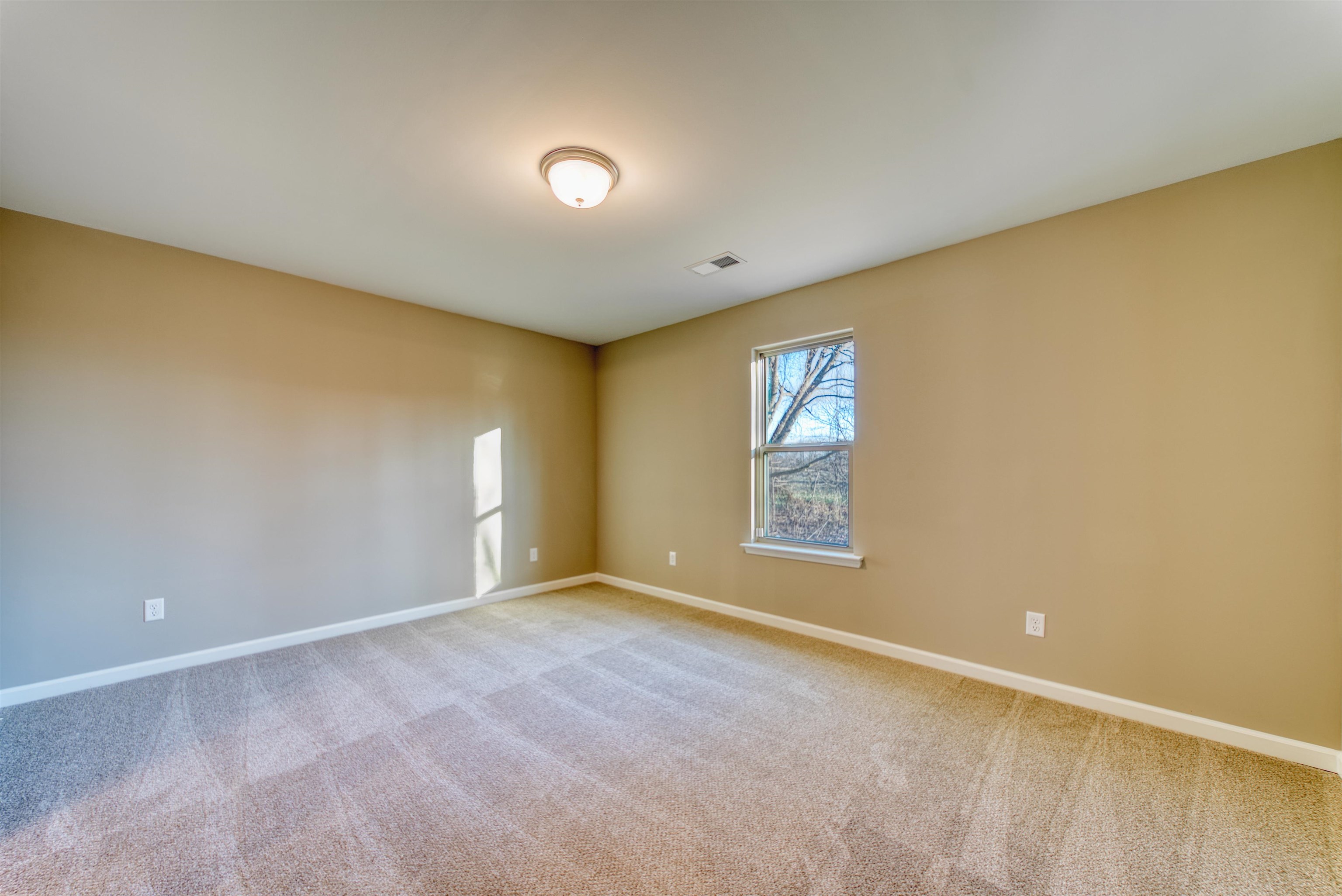 107 Stone Brook Cv Property Photo 25