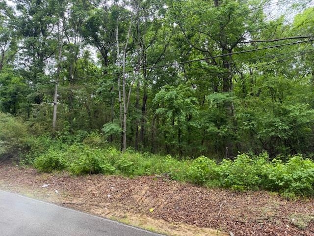 0 Allen Rd Property Photo 3