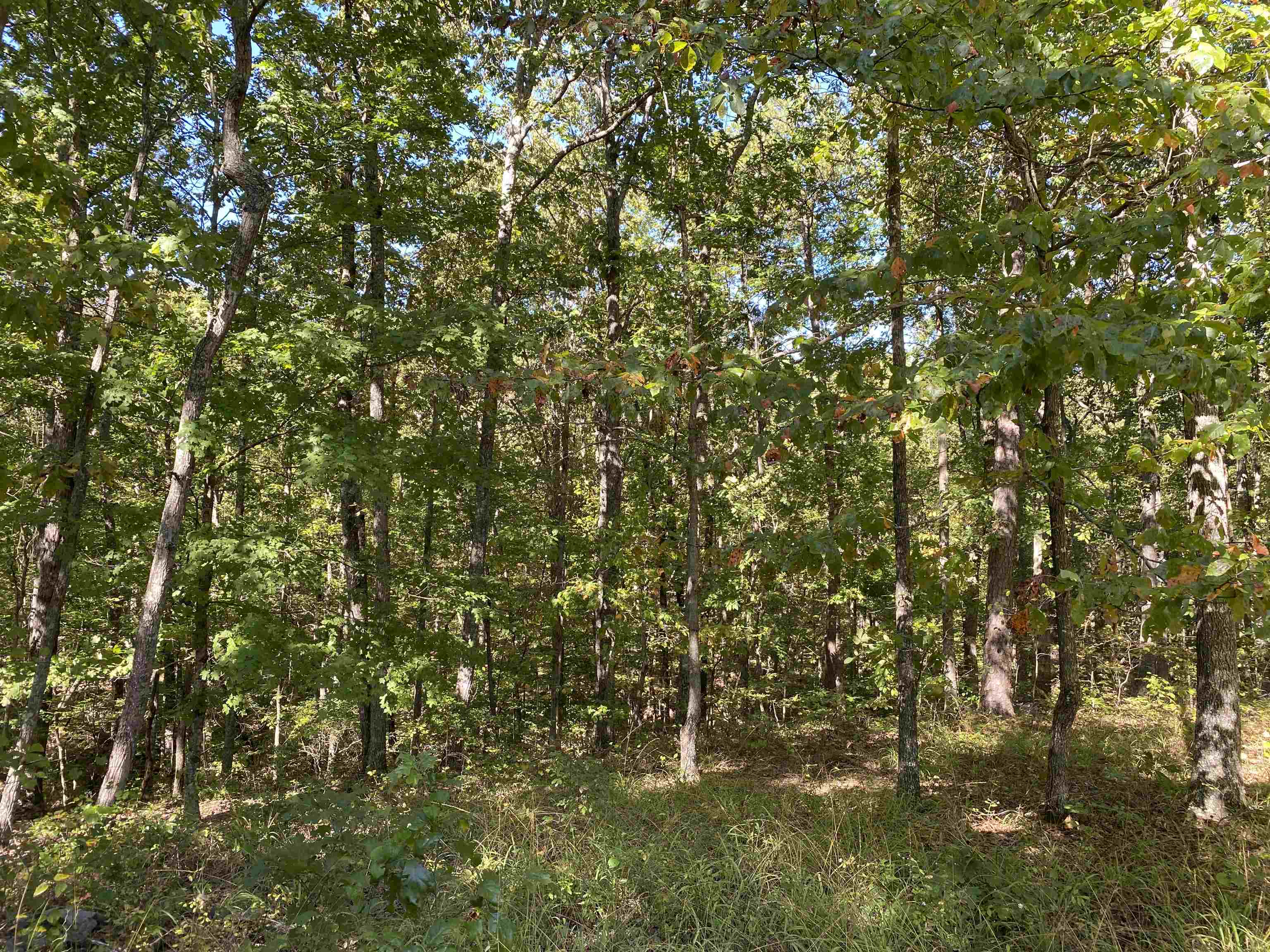 1 Lakeway Ln Property Photo 21