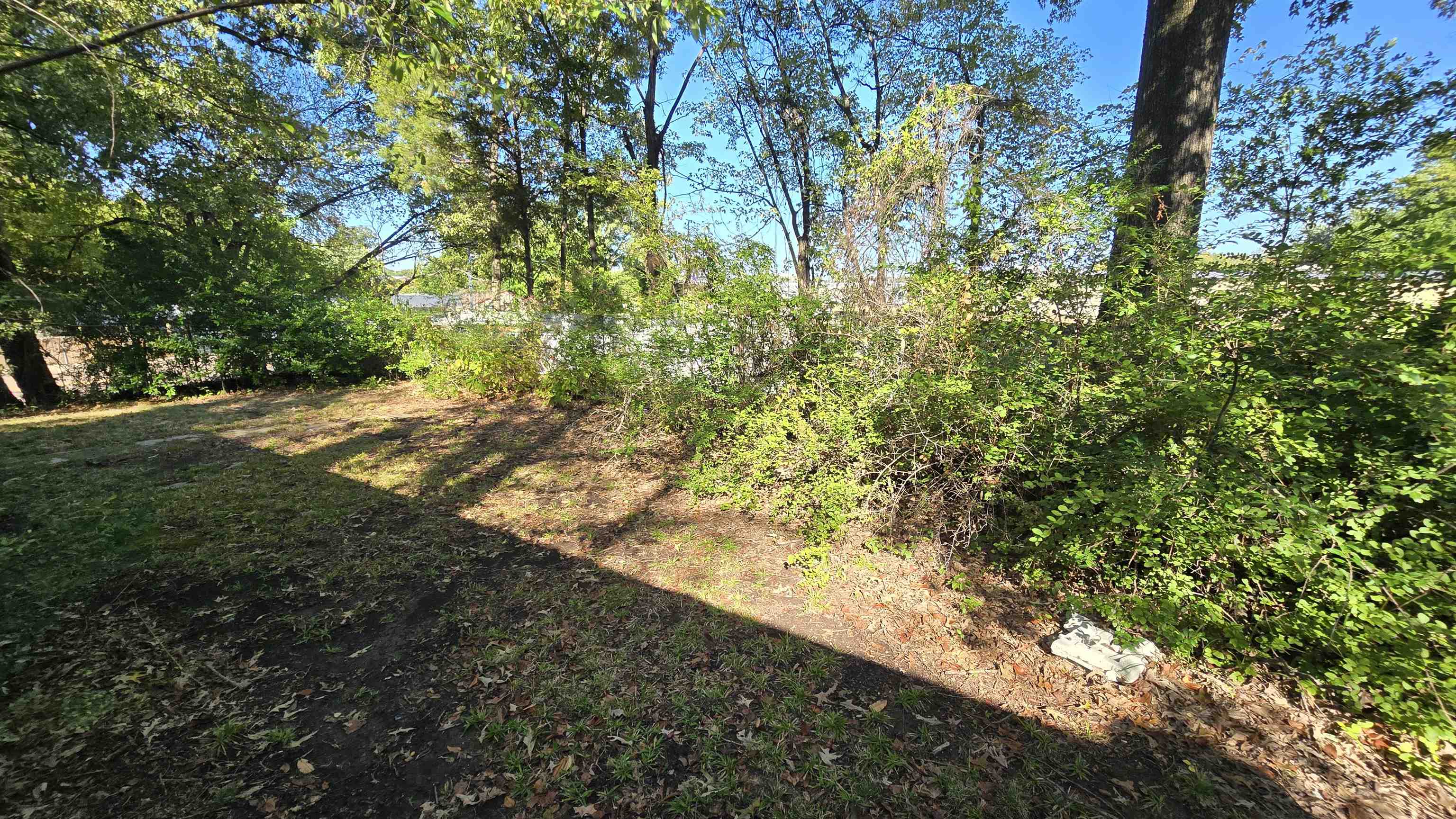 2601 Jackson Ave Property Photo 9