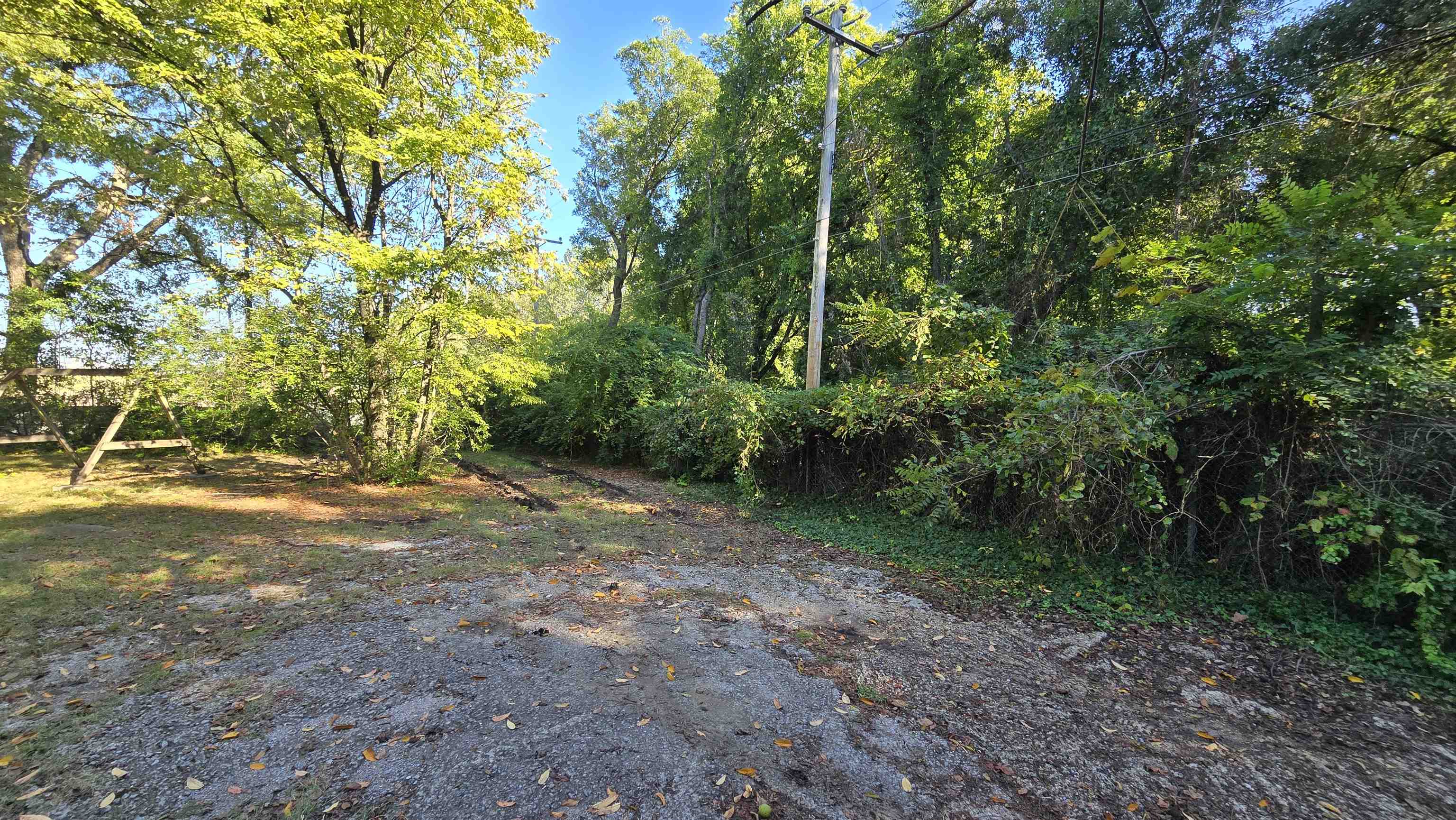 2601 Jackson Ave Property Photo 15