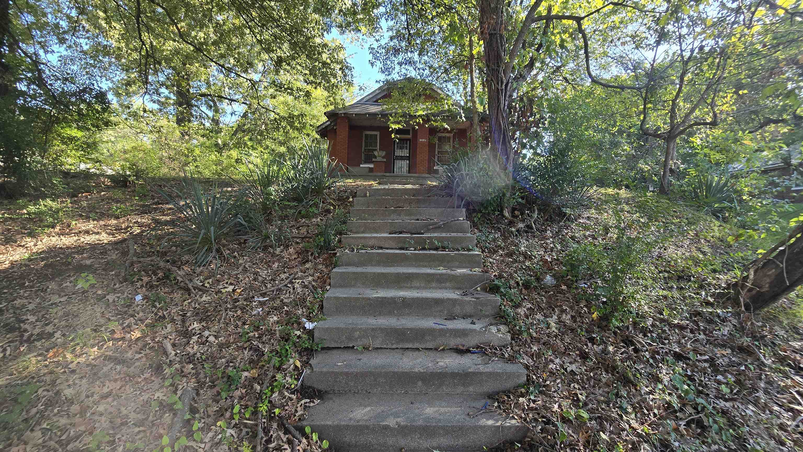 2601 Jackson Ave Property Photo 23