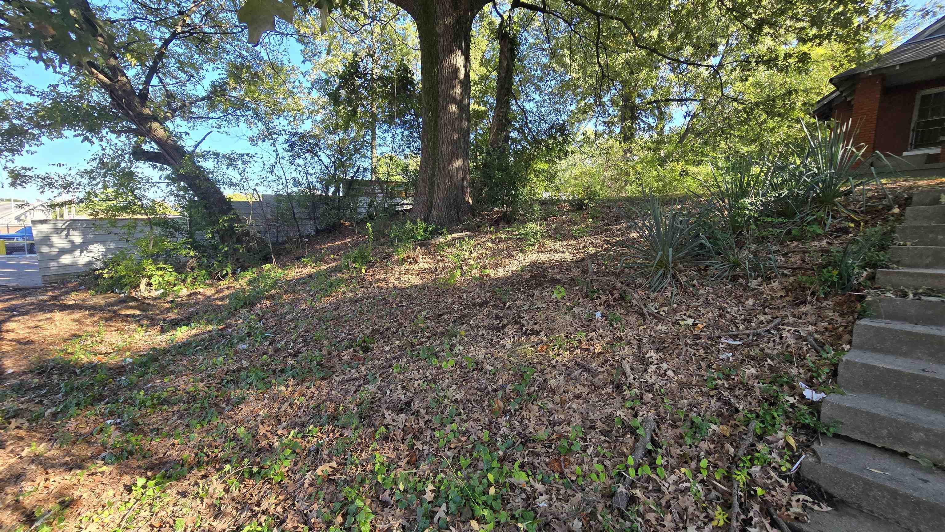 2601 Jackson Ave Property Photo 24