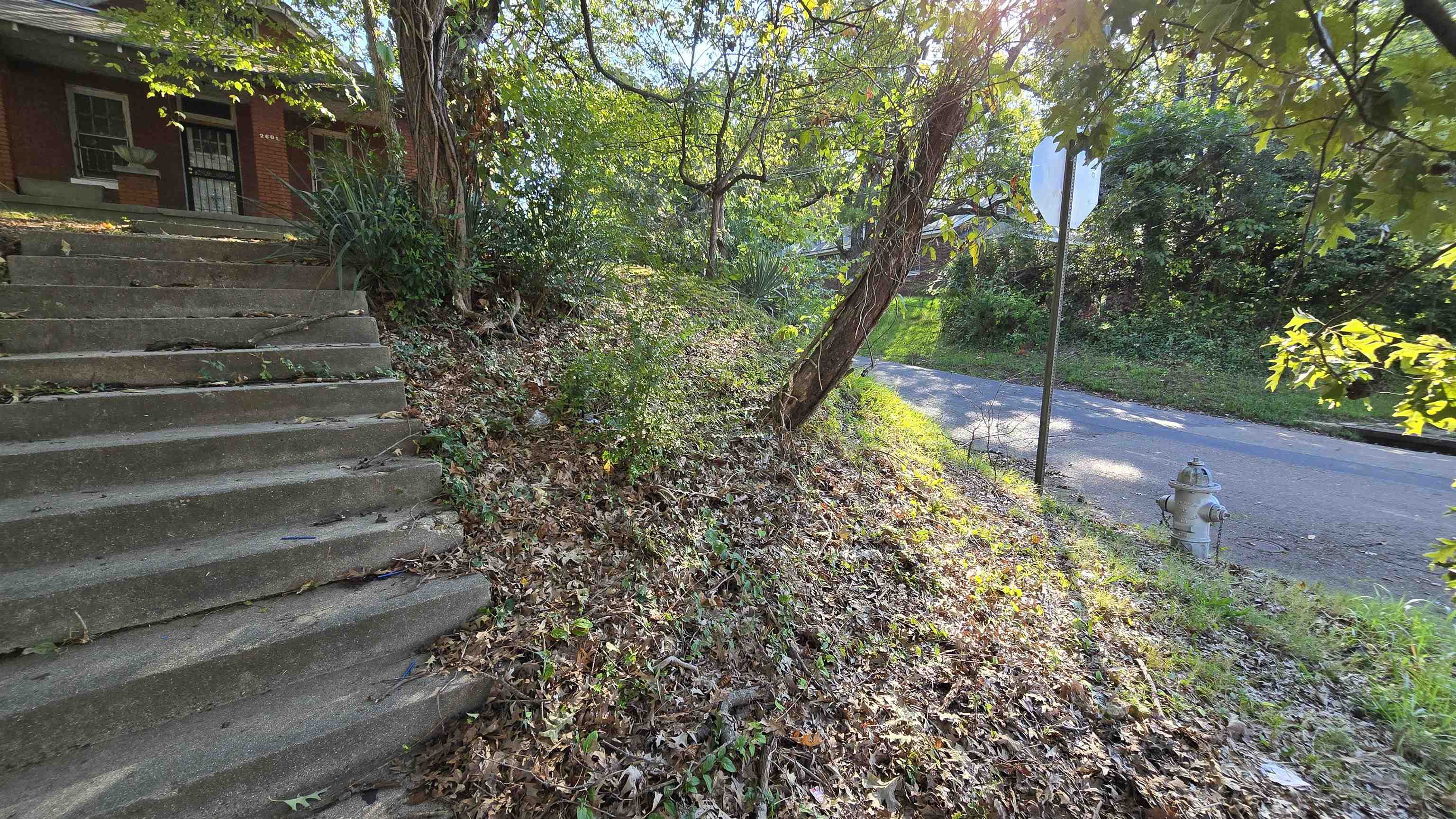 2601 Jackson Ave Property Photo 25