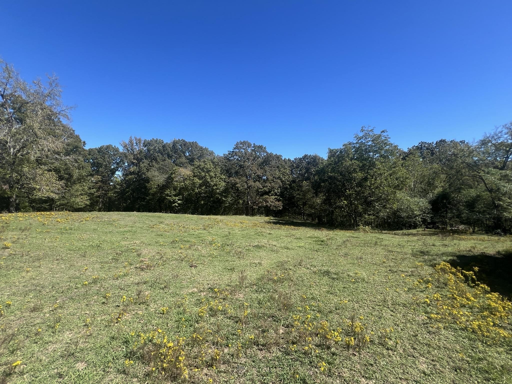 0 Walls Rd Property Photo 1