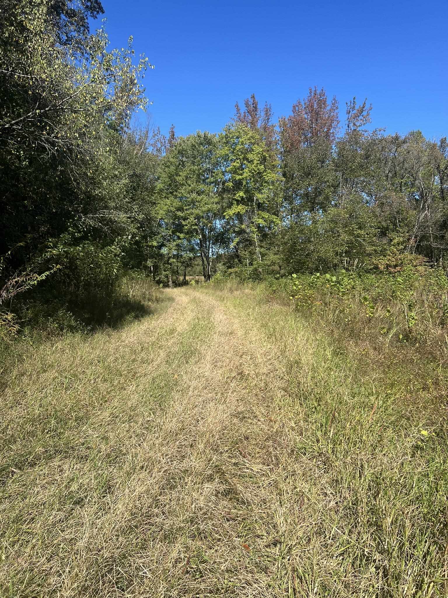 0 Walls Rd Property Photo 2