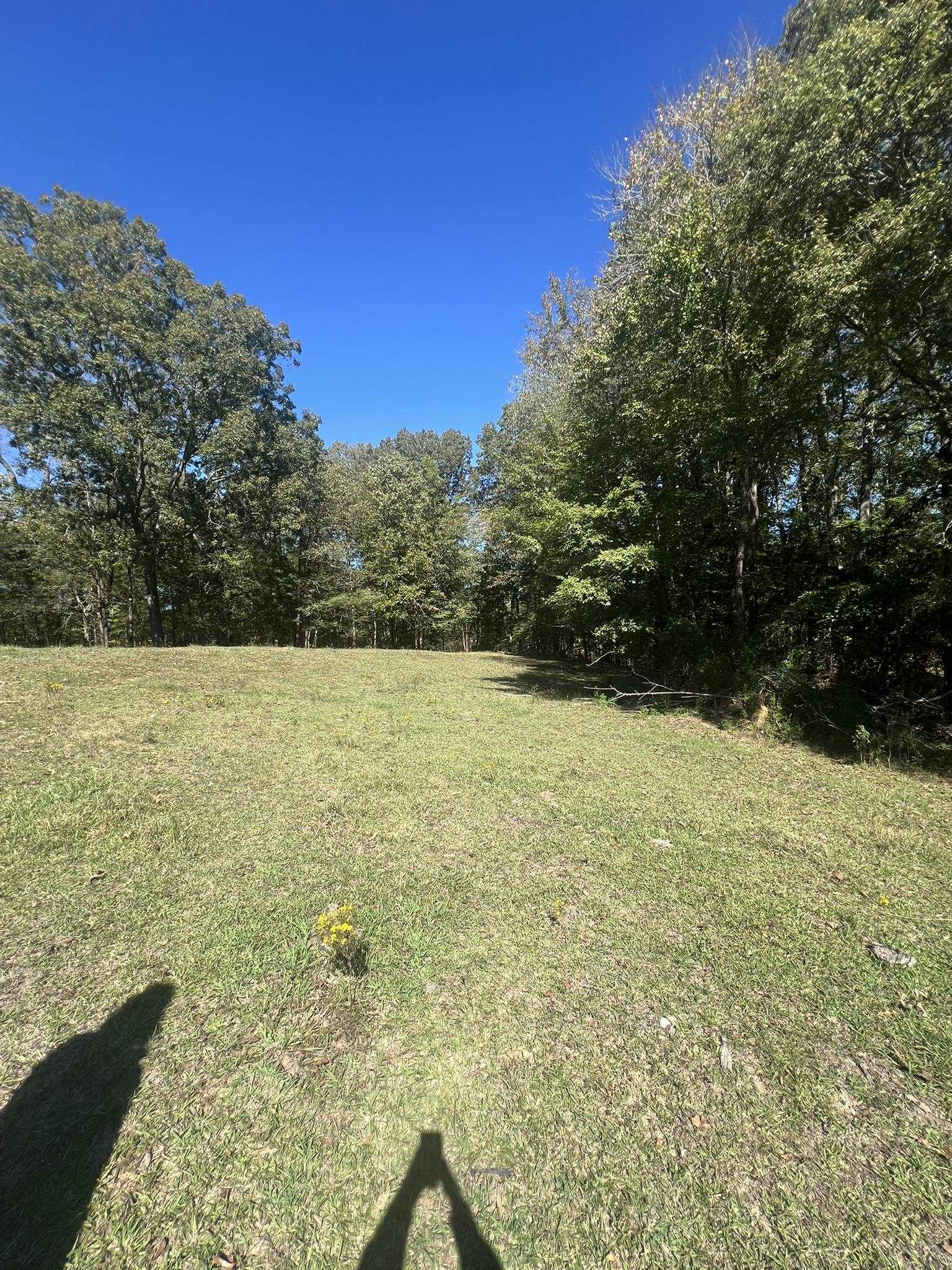 0 Walls Rd Property Photo 4