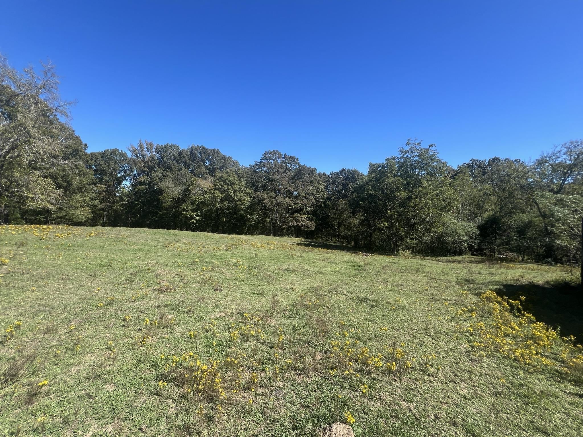 0 Walls Rd Property Photo 14