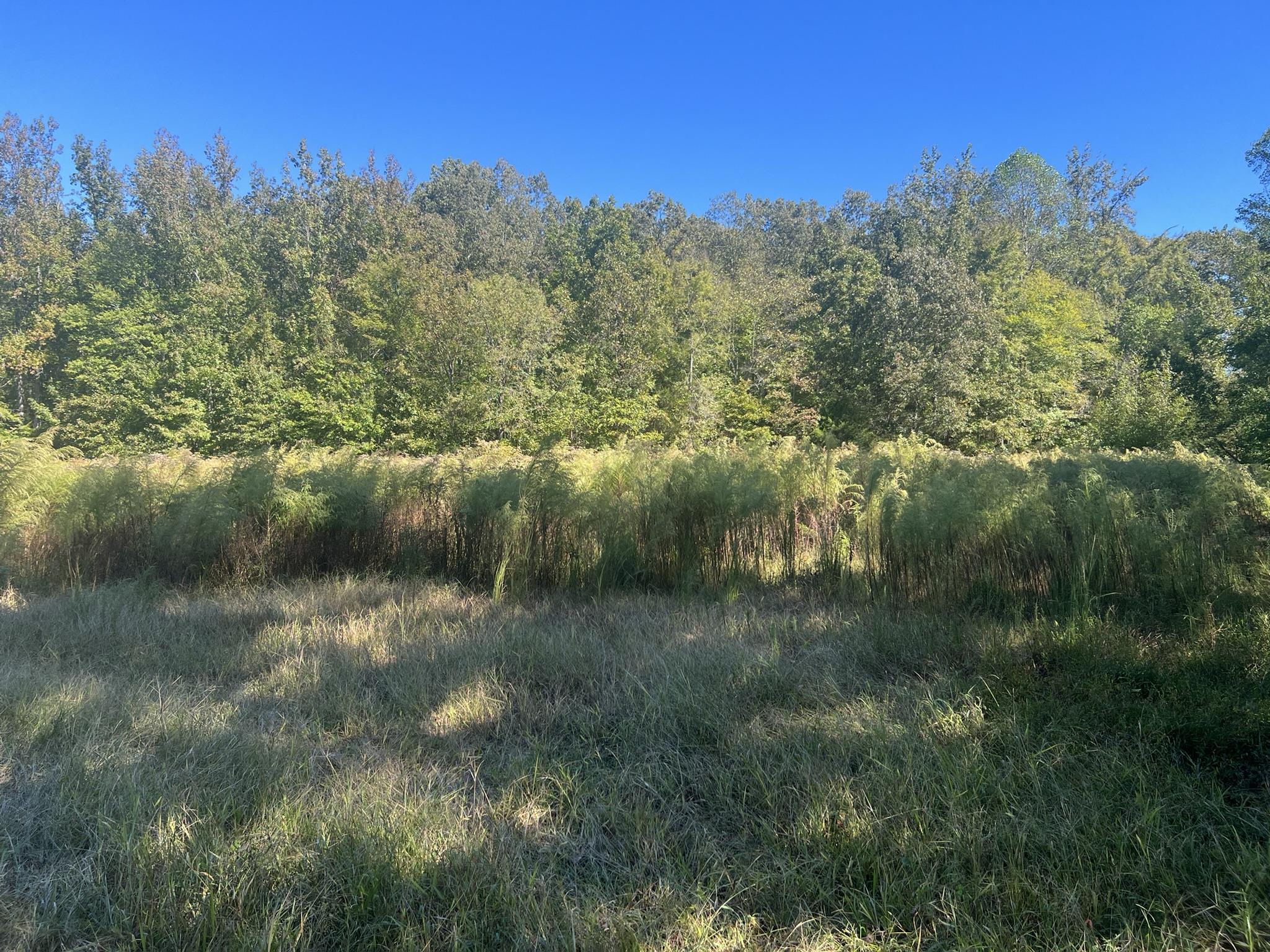 0 Walls Rd Property Photo 15