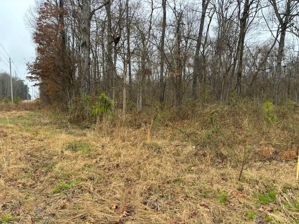 0 Highway 193 Hwy Property Photo 3