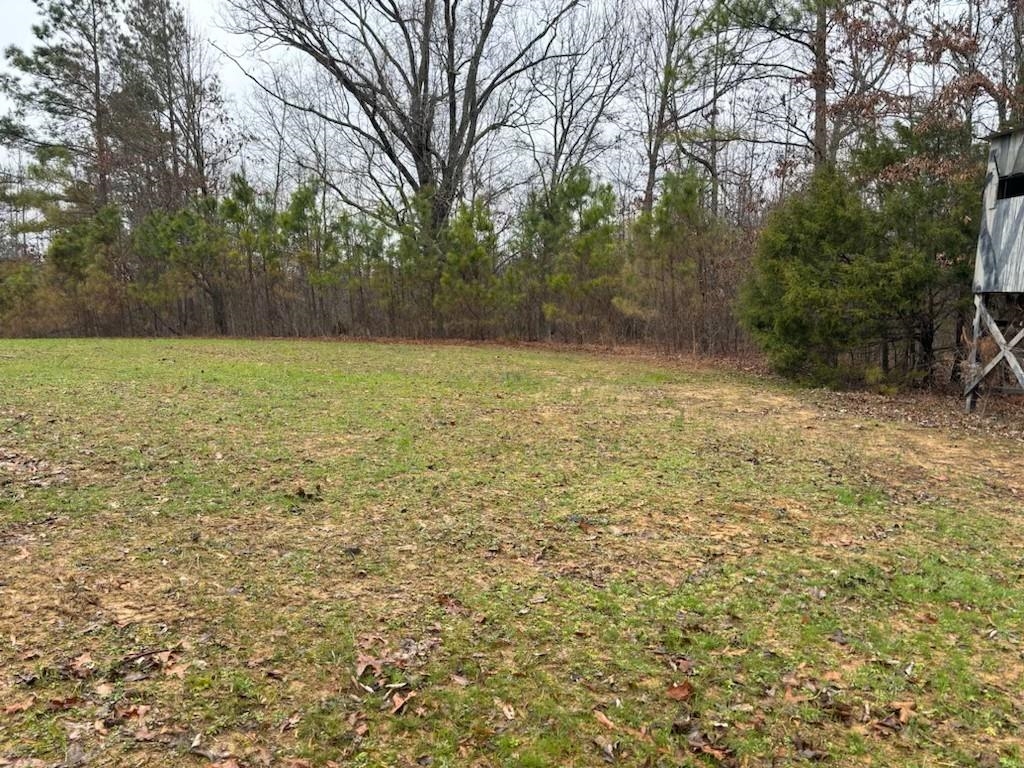 0 Highway 193 Hwy Property Photo 4