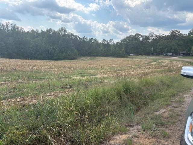 0 Reaves Rd Property Photo 8