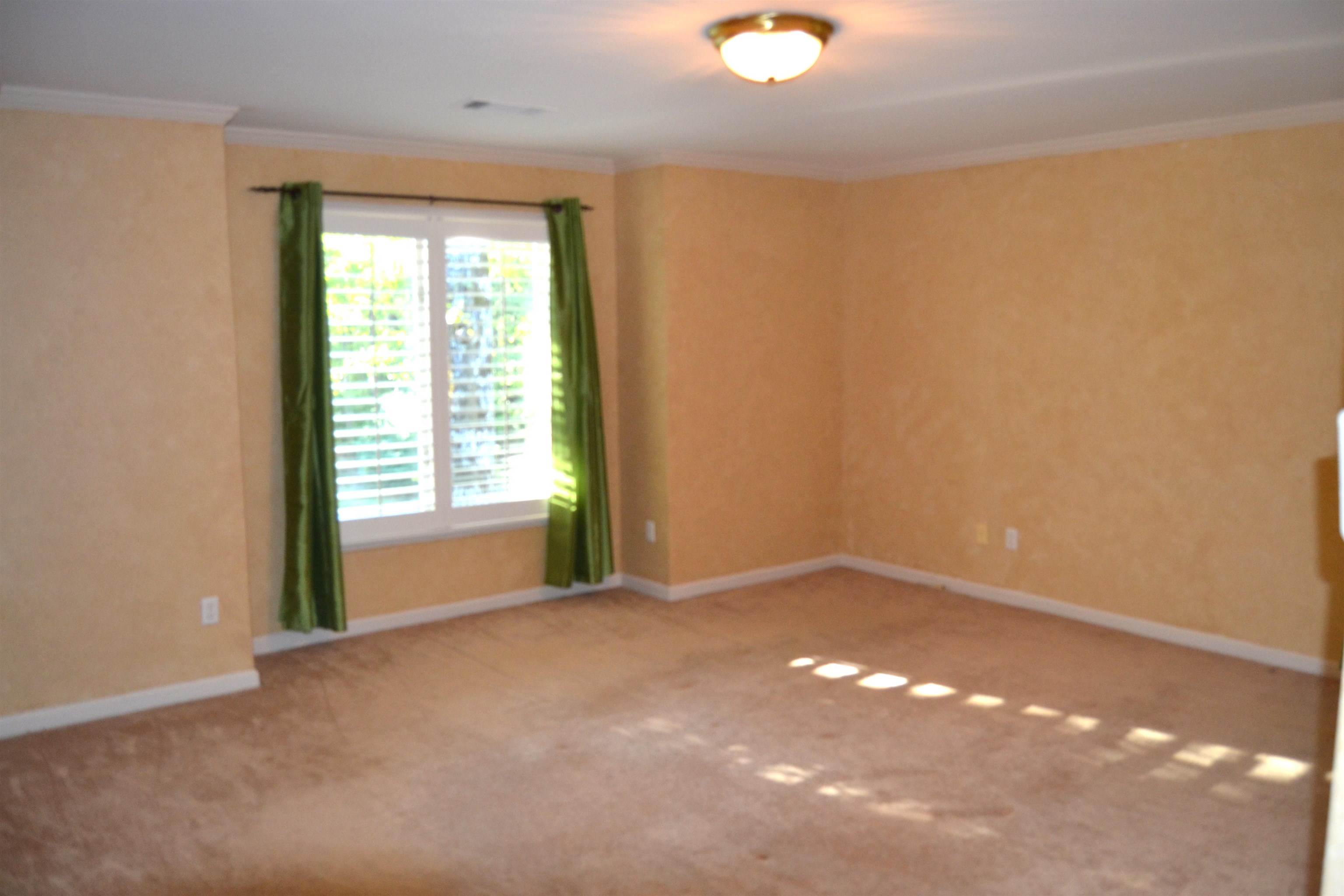 470 Walnut Point Cv Property Photo 30