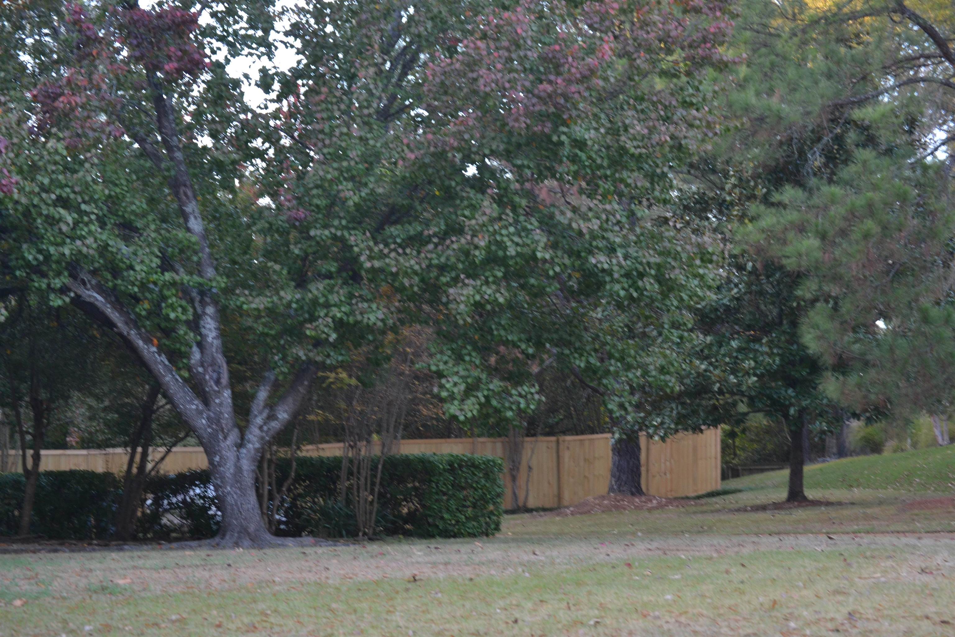 470 Walnut Point Cv Property Photo 37