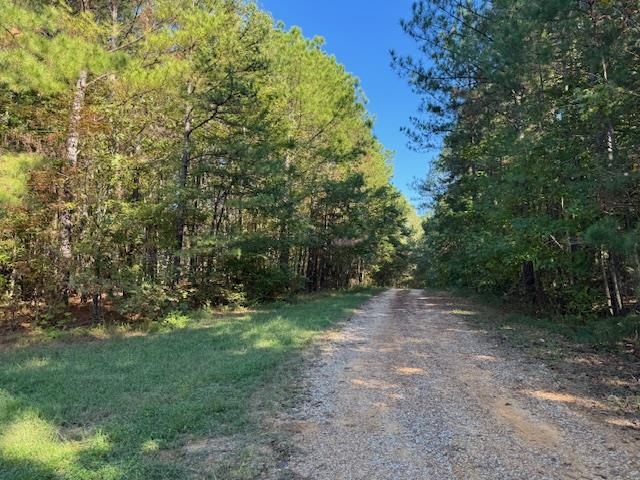 Walnut Grove Rd Property Photo 3