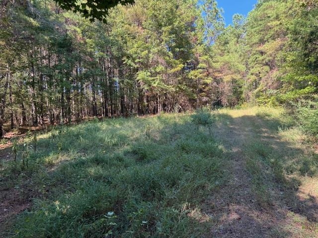 Walnut Grove Rd Property Photo 7