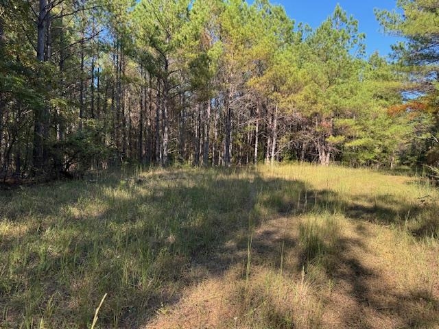 Walnut Grove Rd Property Photo 8
