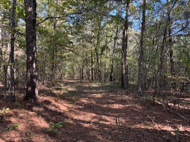 Walnut Grove Rd Property Photo 9