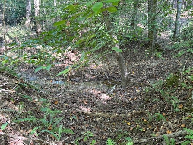 Walnut Grove Rd Property Photo 11