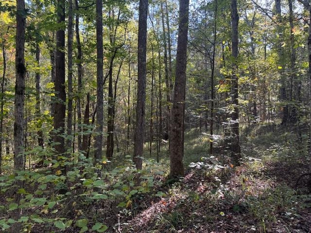 Walnut Grove Rd Property Photo 14
