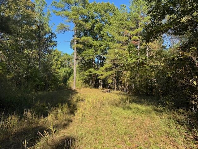 Walnut Grove Rd Property Photo 15