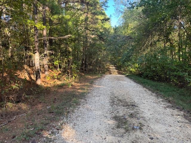 Walnut Grove Rd Property Photo 16