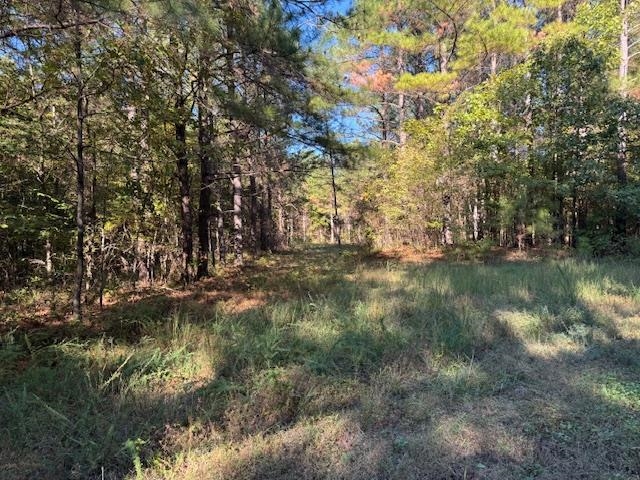Walnut Grove Rd Property Photo 17
