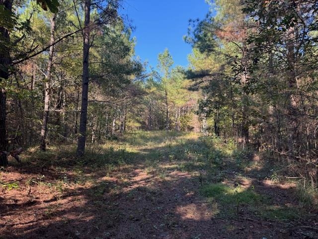 Walnut Grove Rd Property Photo 18