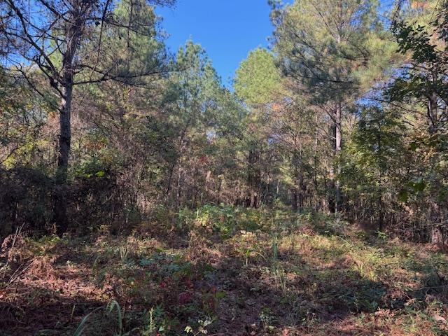 Walnut Grove Rd Property Photo 19