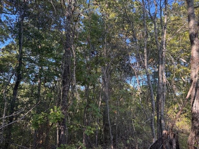 Walnut Grove Rd Property Photo 20