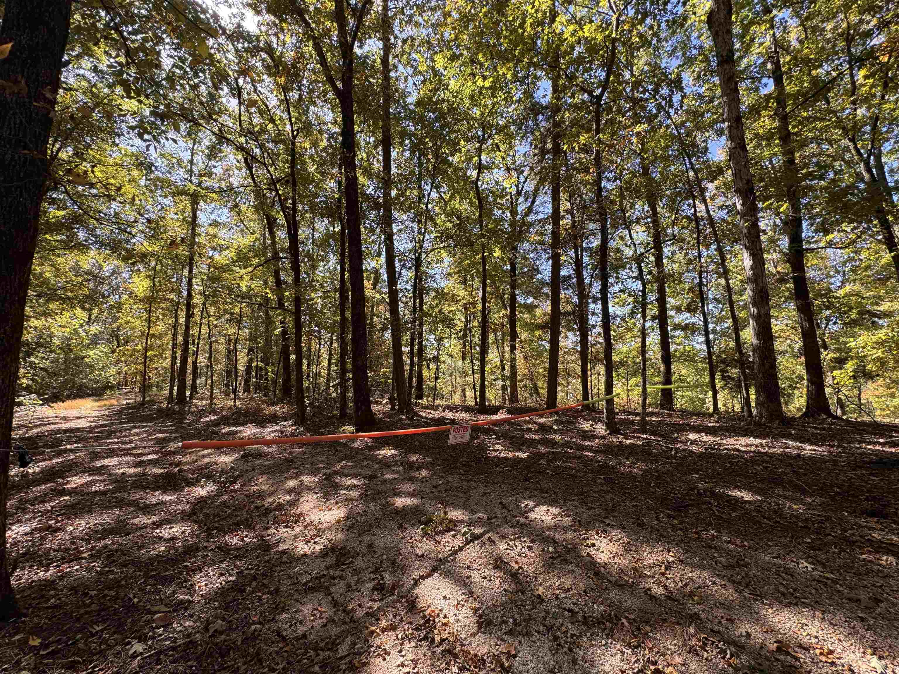 3350 Bruton Branch Rd Property Photo 8