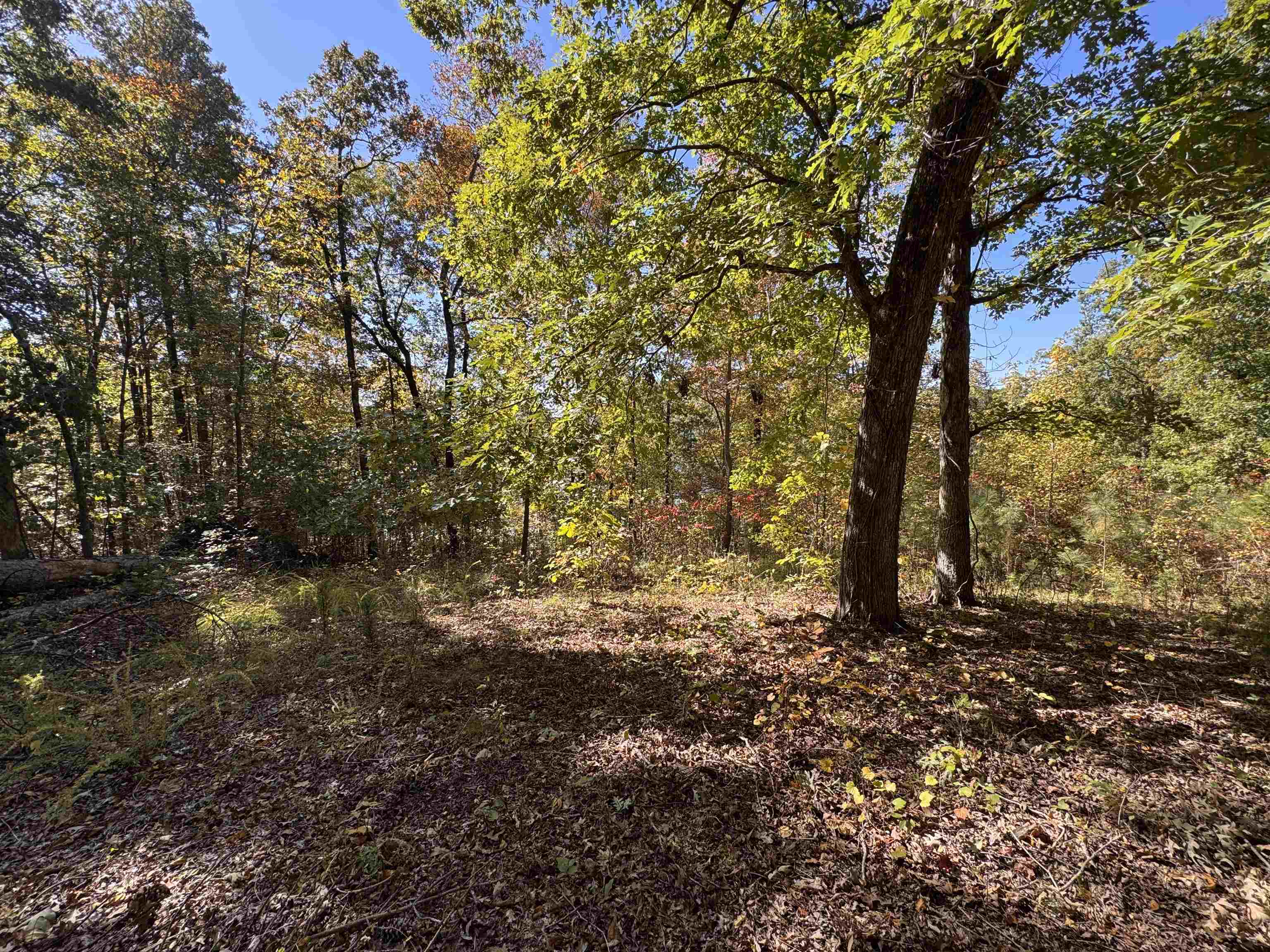 3350 Bruton Branch Rd Property Photo 9