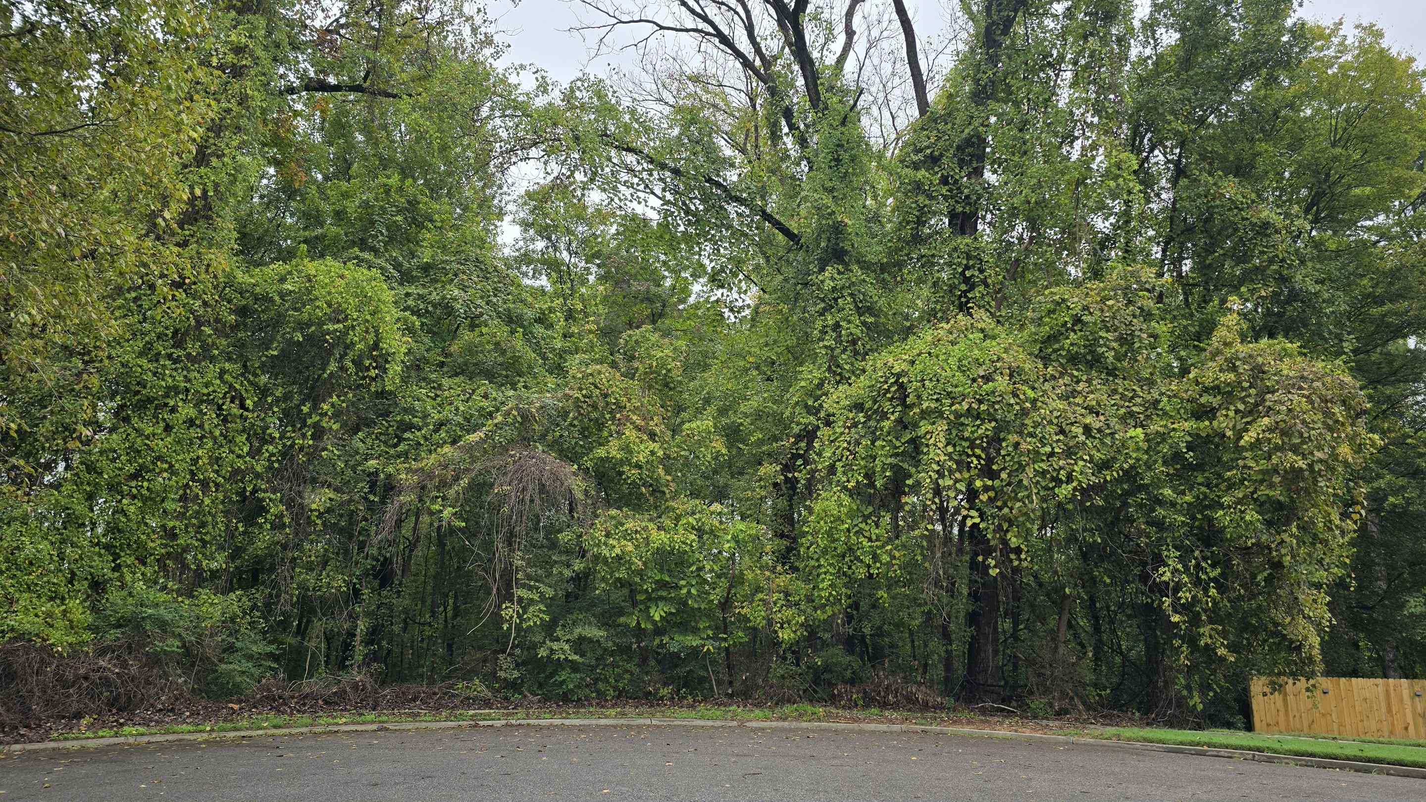 0 CLOWER RD Property Photo 1